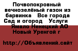 Почвопокровный, вечнозелёный газон из барвинка - Все города Сад и огород » Услуги   . Ямало-Ненецкий АО,Новый Уренгой г.